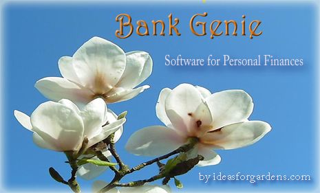Software for Personal Finances