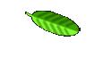 Cultivars home