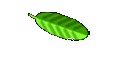 Ideas for Gardens 
  Home page