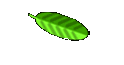 IdeasforGardens 
 Home page