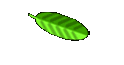 Garden Software