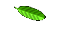 Cultivars Home