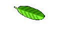 Garden Software