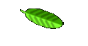 Cultivars