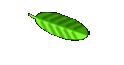 Garden Paintings