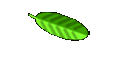 Plant Societies