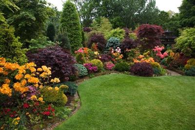 Tony and Maries garden