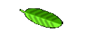 Ideas for gardens 
  Home page